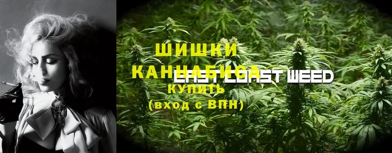 даркнет сайт  Ковдор  Шишки марихуана White Widow 